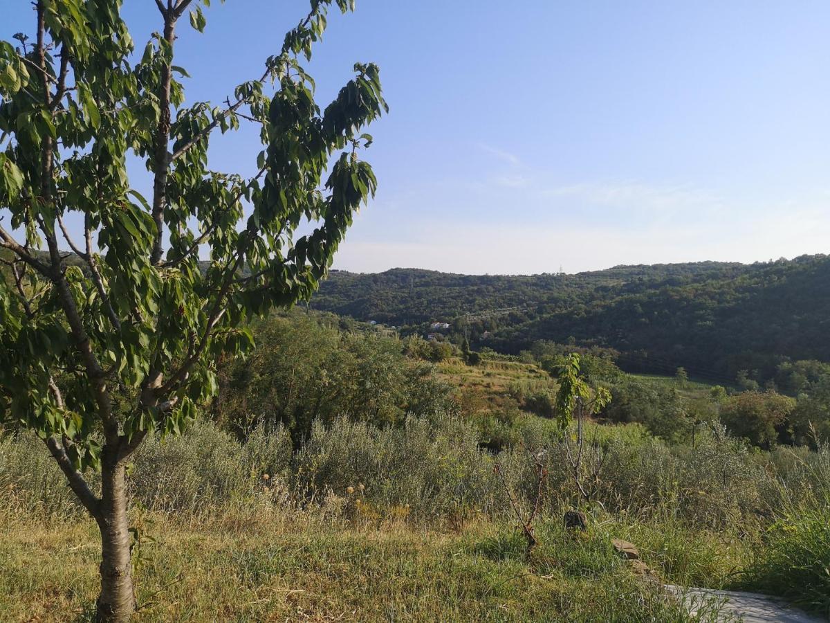 Saleto Apartma Jagodje Экстерьер фото
